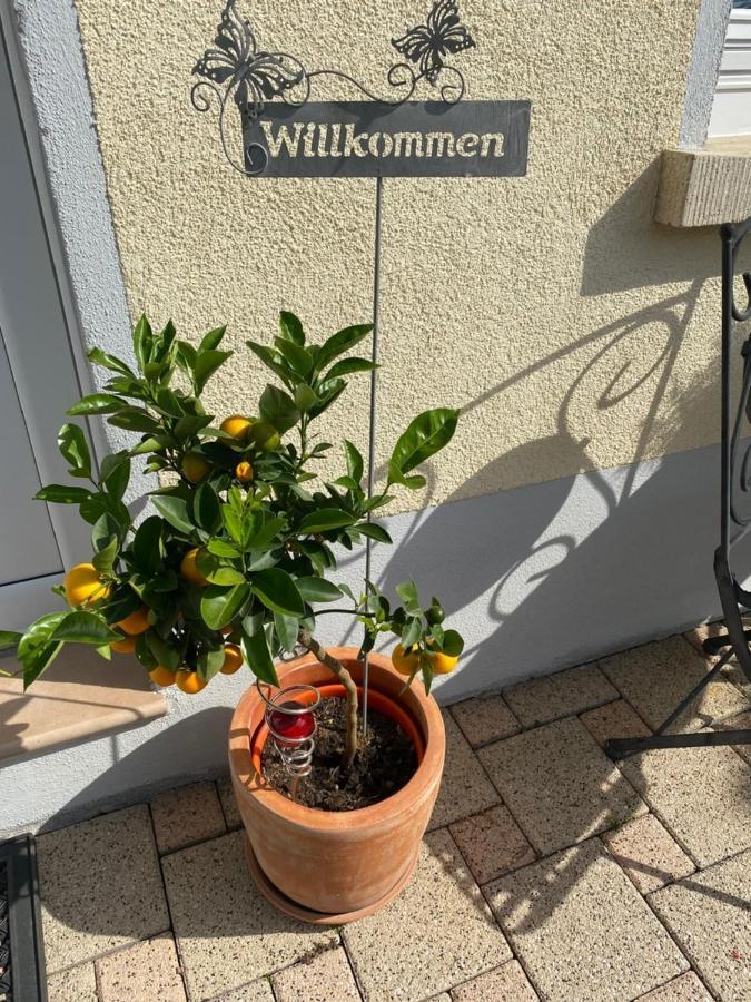 Gaestehaus Und Ferienwohnung Baechle Bad Peterstal-Griesbach Extérieur photo